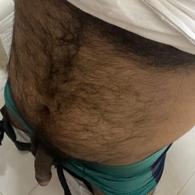 Indian Hairy Top