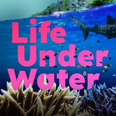 A podcast all about the oceans and the mind-blowing life within them. Presented by wildlife filmmaker and broadcaster @HannahStitfall 💙