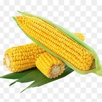 tlaus81 (@tlaus81) Twitter profile photo