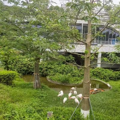 hiumay158954's profile picture. 