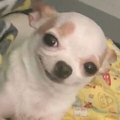 nayさんのプロフィール画像