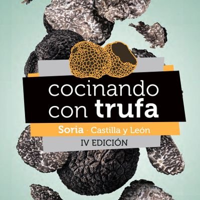 IV Concurso Internacional 'Cocinando con Trufa'
Soria, 10 de Febrero de 2024