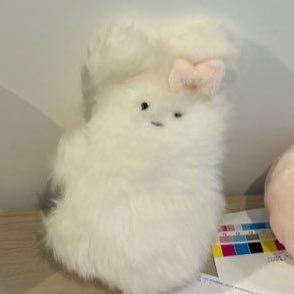 kounaien_itaina's profile picture. 許して