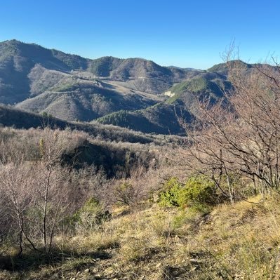 In tempo di carestia ogni buco è galleria