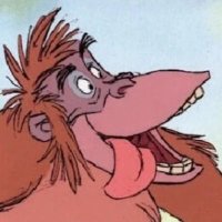 The Jungle VIP 🍺🏴 (@jungleveeeyepee) 's Twitter Profile