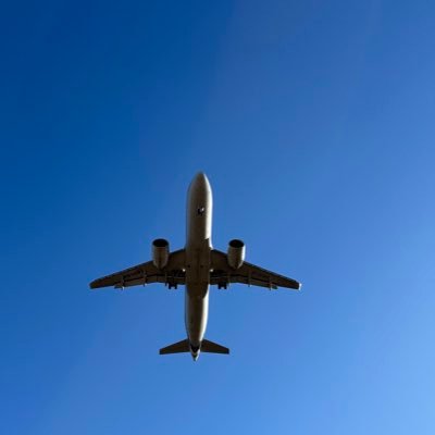 TianWtrience's profile picture. 