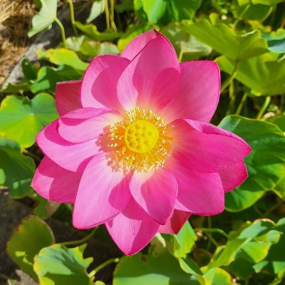 Smael_JA's profile picture. Personnel encadrant de l'EN