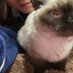 look (@hookeanlily1999) Twitter profile photo look (@hookeanlily1999) Twitter profile photo