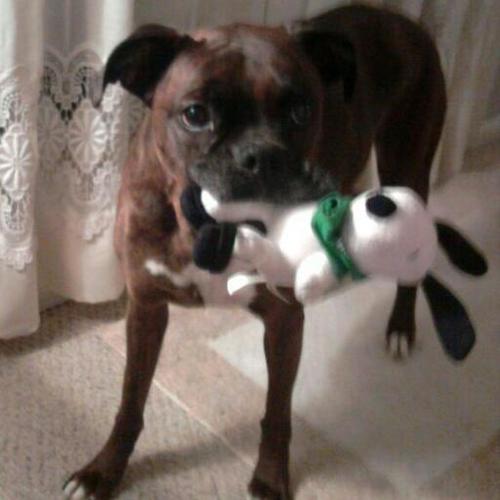 Indy_Nate's profile picture. 