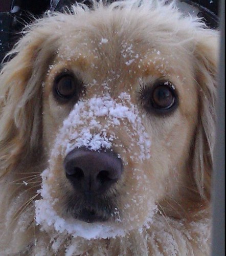 my homies call me Fluffy