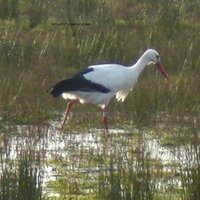 jostijdhof (@jostijdhof) 's Twitter Profile Photo