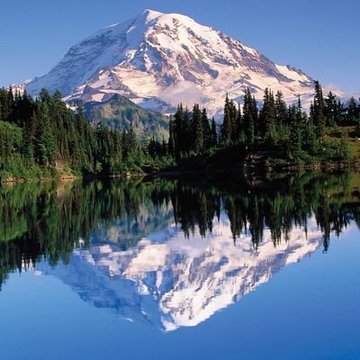 StevenA57054944's profile picture. 
