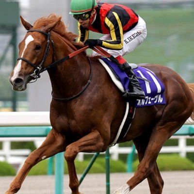 🐎競馬予想家として独立を目指し、はれて独立を決意！🔥血統〜過去実績まであらゆるファクターを加味した独自の理論を武器に、昨年度回収率は128%を記録。みなさんと勝利の美酒を味わえるように noteに予想を載せてます🍻→https://t.co/hWsTkCDBkK