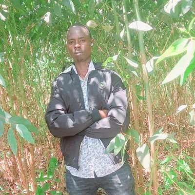 stephen20322697's profile picture. 🎶Kijanaa/🎸