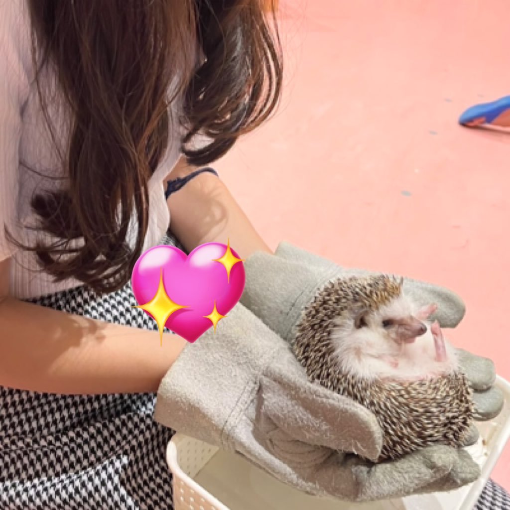 k_n_7_7a's profile picture. 看護師 抹茶がﾀﾞｲｽｷ