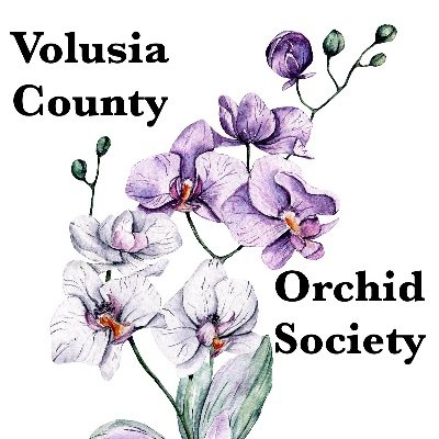 We are a non-profit organization, educating the public about the wonderful world of orchid plants and their culture.
