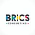 BRICS+ (@BRICS_Weekly) Twitter profile photo