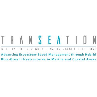 Advancing Ecosystem-Based Management through Hybrid Blue-Grey Infrastructures in Marine and Coastal Areas. European project.