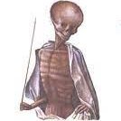 crackern00b's profile picture. algotrading master