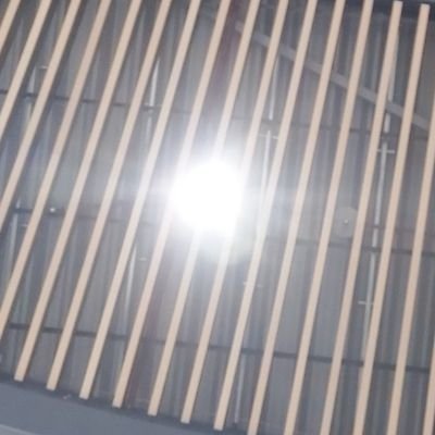 81_nihad's profile picture. la vida