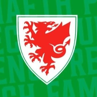 NextGenWales Profile Picture