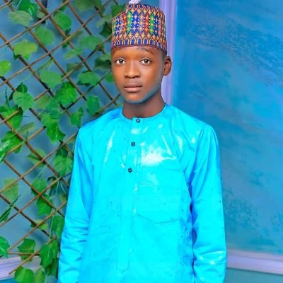 UsmanAminu48949's profile picture.