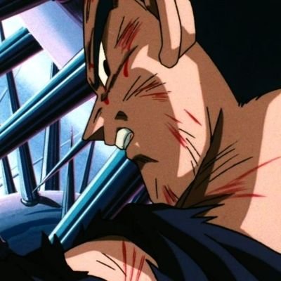 vegeta_daily Profile Picture