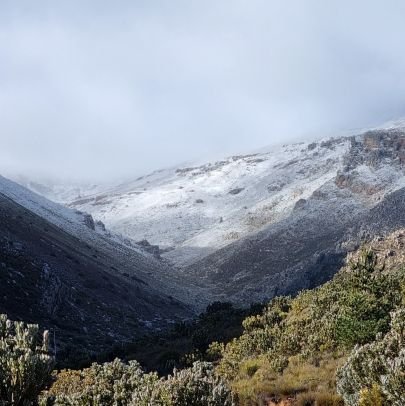 AlexanderTM25's profile picture. ⚔️ 🤲🏻 👑 | Personal Account