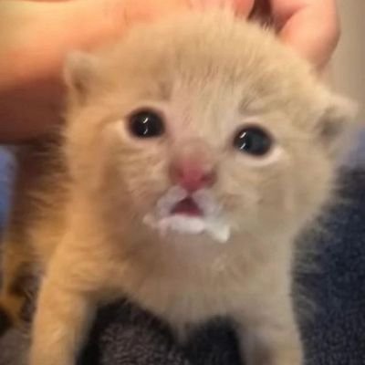 Dante1127018's profile picture. I'm an adult