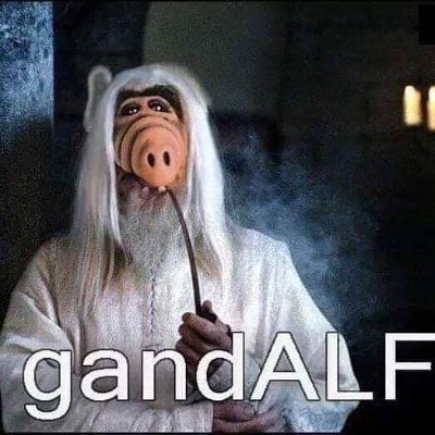 annhan_dev's profile picture. Reality