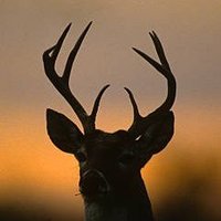 Kita (@kitari_a) 's Twitter Profile Photo