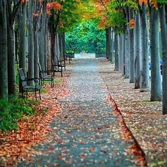 good_reviewer_'s profile picture. 