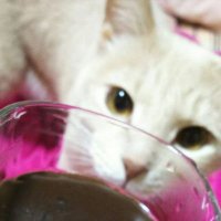 ๐จ๐ณ๐ข๐ค๐ฆ๏ผใใใ๏ผ๐๏ธ๐๏ธ๐๏ธ๐ฆ๐ฅ๐ฆ (@mmk_victor) 's Twitter Profile
