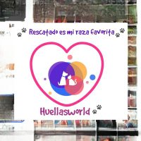 Asociación Huellas World (@huellasworld) 's Twitter Profile Photo Asociación Huellas World (@huellasworld) 's Twitter Profile Photo