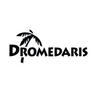 Dromedaris Shoes(@dromedarisshoes) 's Twitter Profile Photo