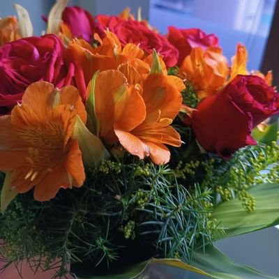 DesireeMontesP's profile picture. 🖤