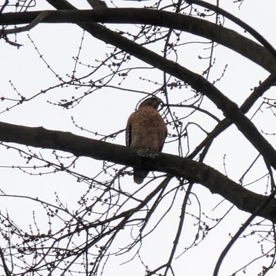 sincerely215's profile picture. 