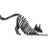 CATGardenRoute's profile image