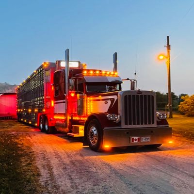 Fulsom37's profile picture. Livestock Transporter & Grain Hauler