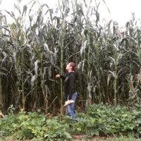 Alejandra Guillén (@aleguillenglez) 's Twitter Profile