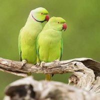 mdnadim8290 (@mdnadim8290) 's Twitter Profile