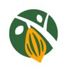 WorldCocoa's profile picture. We promote collaboration amongst our members and beyond, building impactful solutions for a more sustainable cocoa sector.