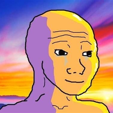 Wojak is $SOBACK after Solana's first 2024 power outrage.