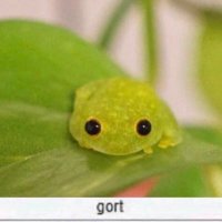 gort (@moofloop) 's Twitter Profile