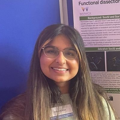 Developmental Biology PhD student at University of Warwick( @BBSRC ).
Studying the role of Sox factors in endoderm specification and LR asymmetry establishment