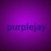 purplejayjayy (@jaydenhardyWWEC) Twitter profile photo