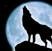 javieryvz's profile picture. Socialdemocrata . ADECO BIOLÓGICO!