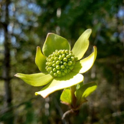 NancyO65907419's profile picture. 