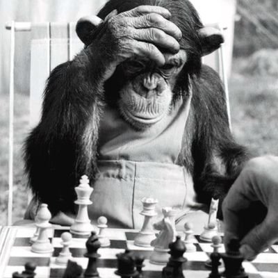 B_SharqGharb's profile picture. .