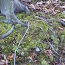 Nolan Stokes - @NolanStokes - Twitter